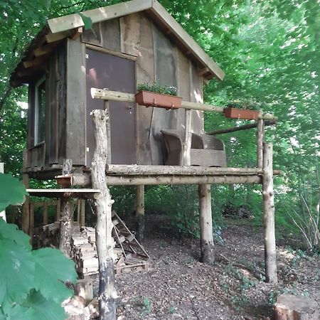 Hotel Baumhausnaechte Ladbergen Exteriér fotografie